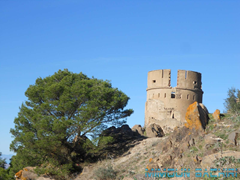 Tazouda