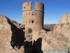 Tazouda