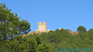 Tazouda