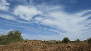 BENI SIDEL JBEL