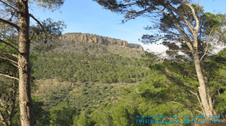 Gourougou