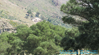 Gourougou